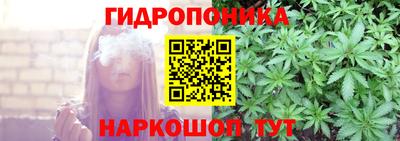 эйфоретик Можга