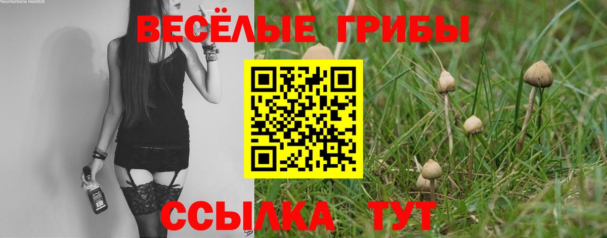 где можно купить наркотик  Псилоцибиновые грибы Psilocybe  Псилоцибиновые грибы Psilocybe  Вход с VPN  Северск 